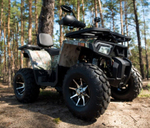 Квадроцикл YAMAHA Shark 300cc