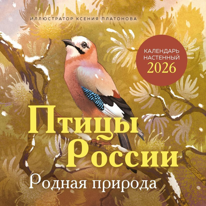 Птицы России.Родная природа