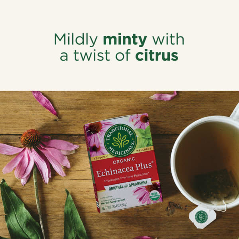 Traditional Medicinals, органическая эхинацея Plus®, оригинальная с мятой, без кофеина, 16 чайных пакетиков, 24 г (0,85 унции)