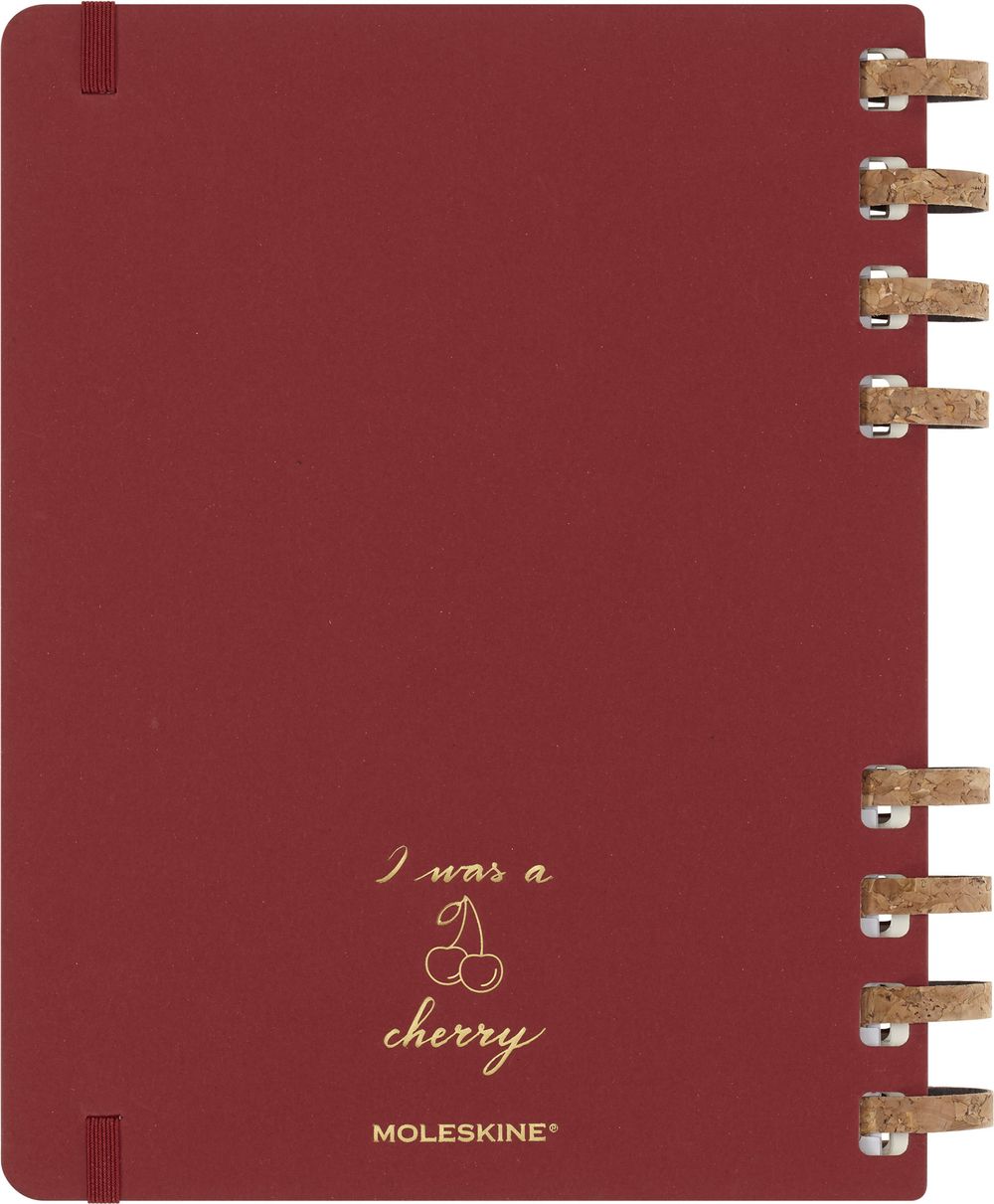 Еженедельник Moleskine SPIRAL (DHUNDSPF3212MWH4) 10