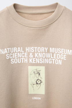 ZARA ТОЛСТОВКА С ПРИНТОМ HISTORY MUSEUM, БЕЖЕВО-КОРИЧНЕВЫЙ