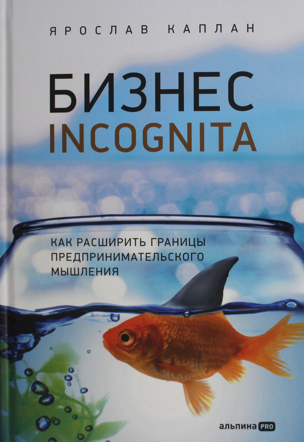 Бизнес incognita: Как расширить границы предпринимательского мышления