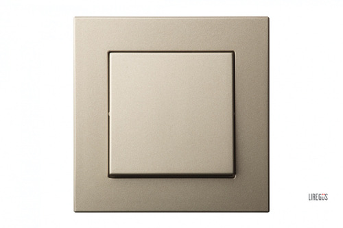 Выключатель Одноклавишный Шампань LIREGUS EPSILON