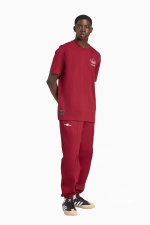 Футболка adidas Arsenal FC 25/26 Terrace Icons Graphic - бордовый