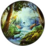 Wintersun / The Forest Seasons (Box Set)(Picture Disc)(2LP+3CD)