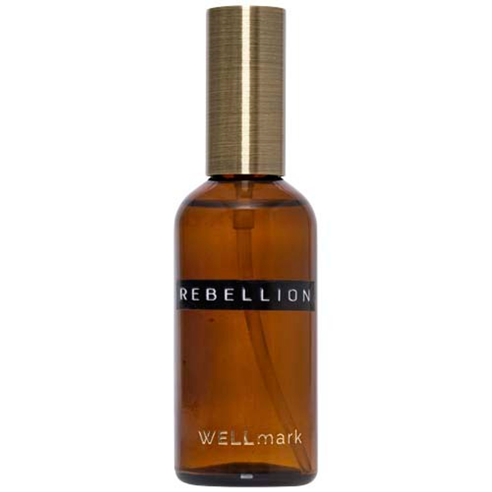 100 мл аэрозольный ароматизатор для помещений Wellmark