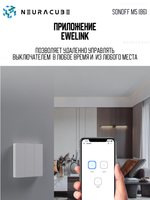 Умный WiFi (Matter) выключатель Sonoff M5-2C-86W (Работает с Яндекс Алисой)