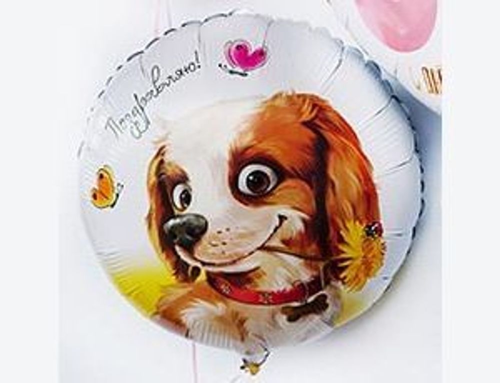 Шар (18"/46 см) Круг, РУС ПОЗДРАВЛЯЮ Собака с цветком