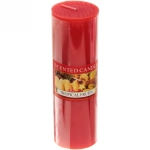 Свеча «Fantasy-Тропические фрукты» 4,8*14,8см YZ009