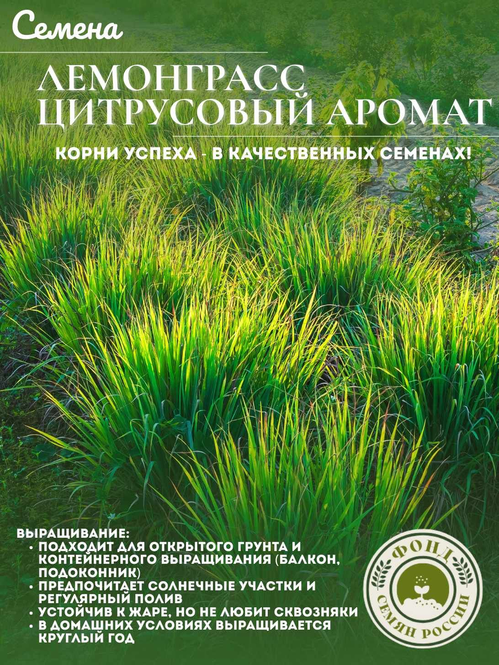 Набор семян для посадки, Петрушка, 5-ти сортов, 10гр. семян.