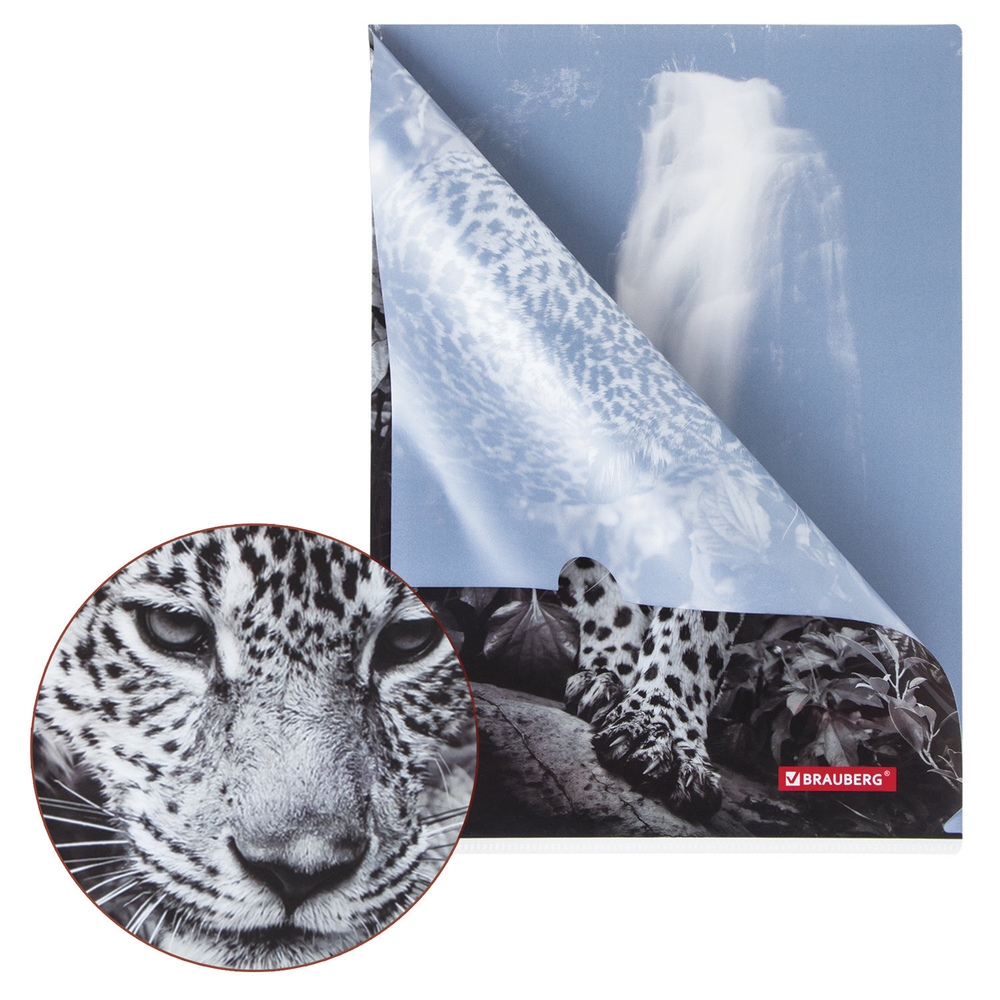 Папка-уголок BRAUBERG "LEOPARD" А4 150 мкм цветная печать (12 штук в упаковке)