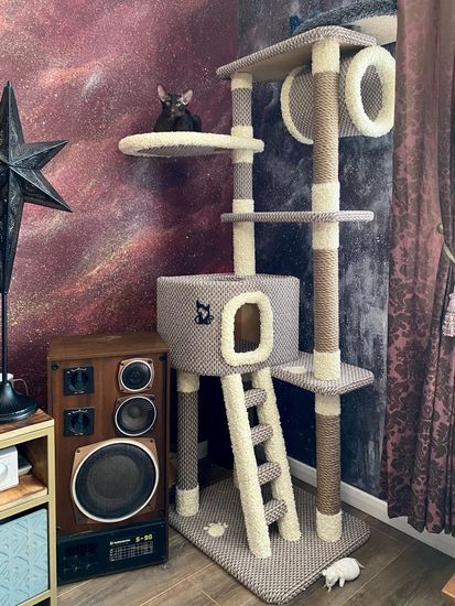 Домик для кошки С-12