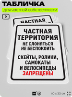 Табличка для частной территории "Частная территория", на дом, для участка, организаций, предупреждающая, 40х30 см, Silver Plane x Айдентика Технолоджи