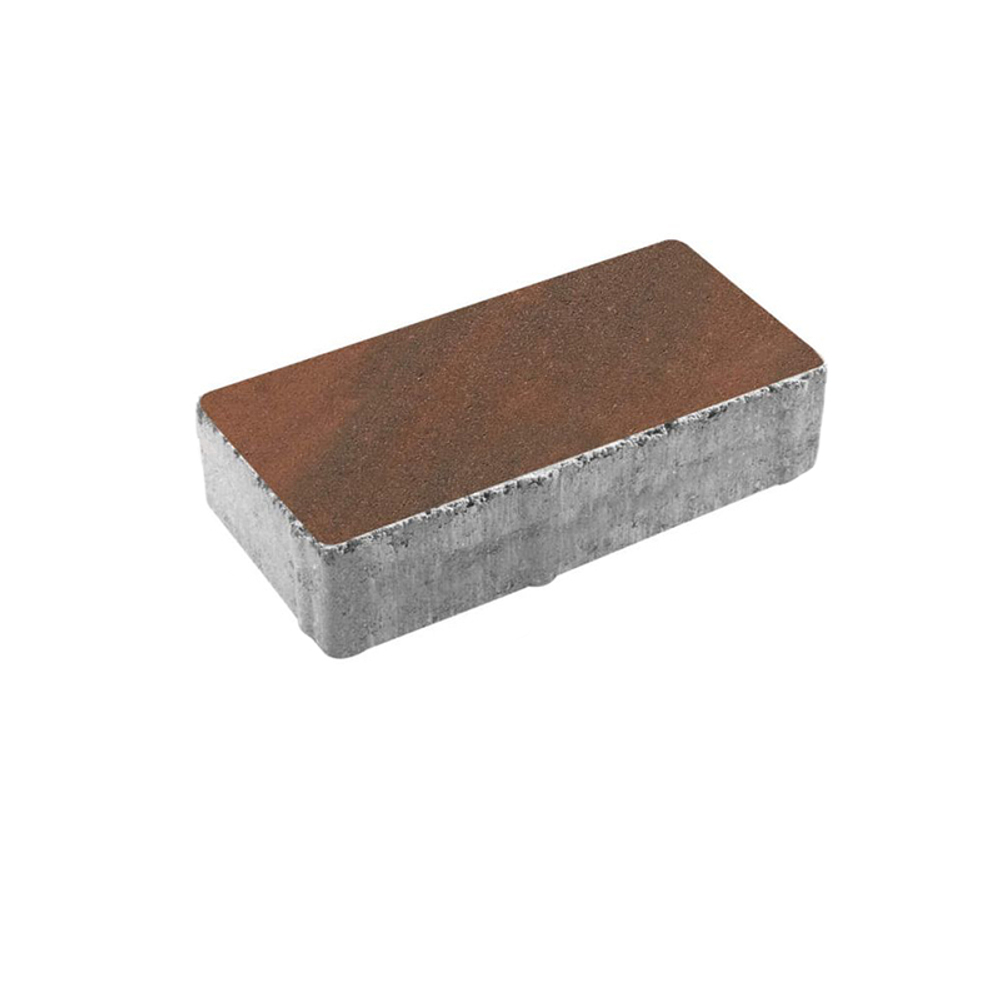 Тротуарная плитка ПРЯМОУГОЛЬНИК 200x100 мм - Листопад гладкий Клинкер