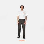  Брюки мужские Dickies Skateboarding Double Knee Pants артикул:WPSK96OG - купить в магазине Дайс