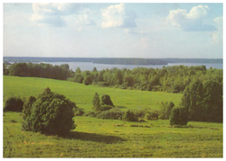 Почтовая открытка СССР Летний пейзаж Фото В. Дорожинского