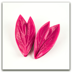 Лист пиона садового двойной