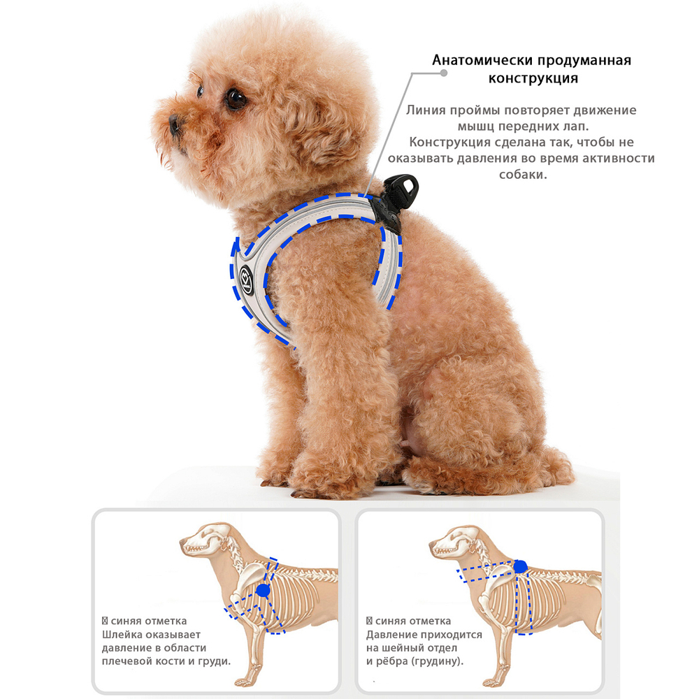 003 Шлейка (фиксатор-пряжка с защелкой, размер-в-размер) SSOOOK