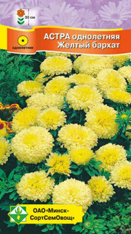 Астра карликовая "Желтый бархат" 0,3г., Германия.