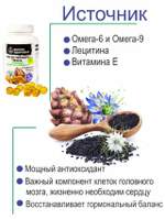 Масло черного тмина с кедровым лецитином 240 капсул