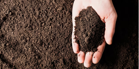 Грунты различного литража в наличии!