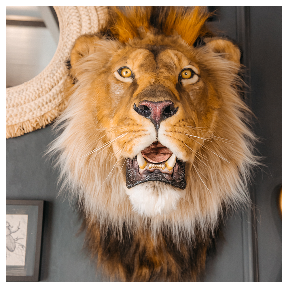 Реплика головы «Африканский лев»