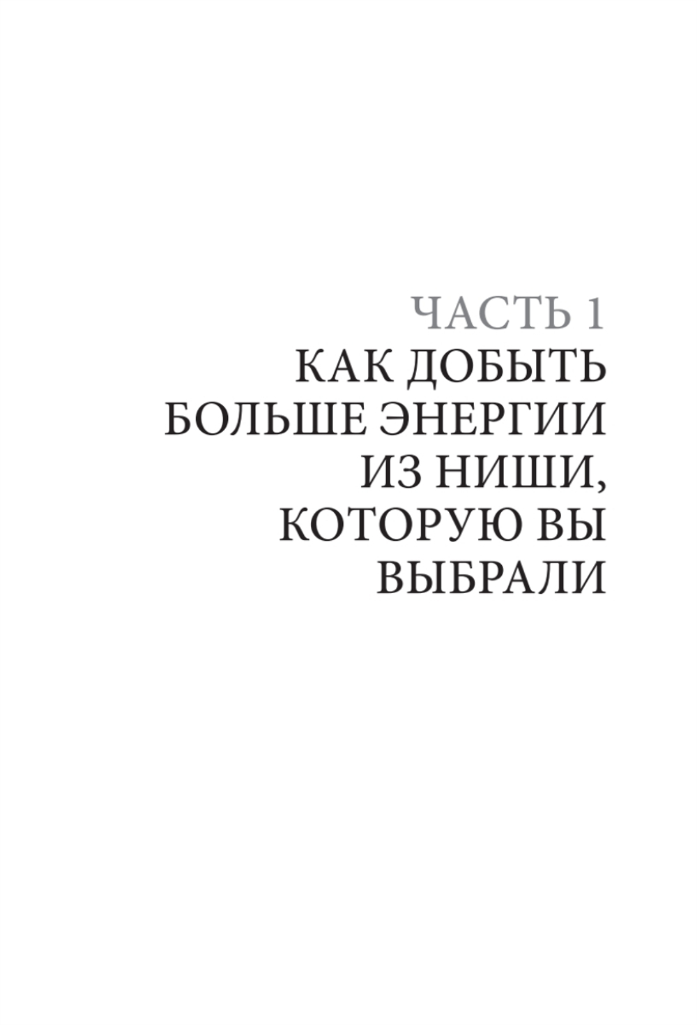 Энергия своего дела. Как развивать экспертный бизнес и оставаться в ресурсе