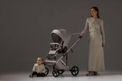 Детская коляска Anex Eli 2 в 1 без рюкзака Santal El-06