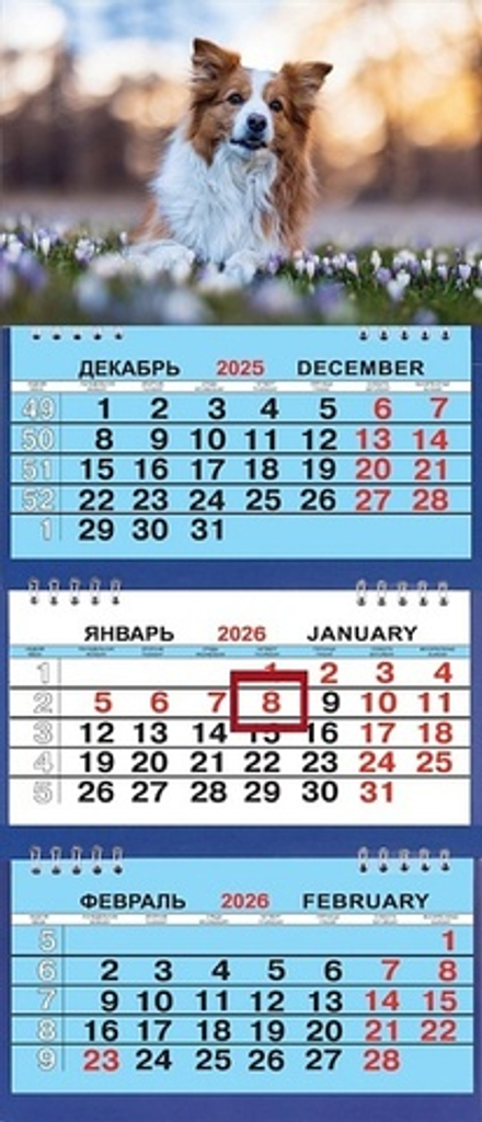 Календарь Трио Малый 200*470мм на 2026г. Щенок в цветах