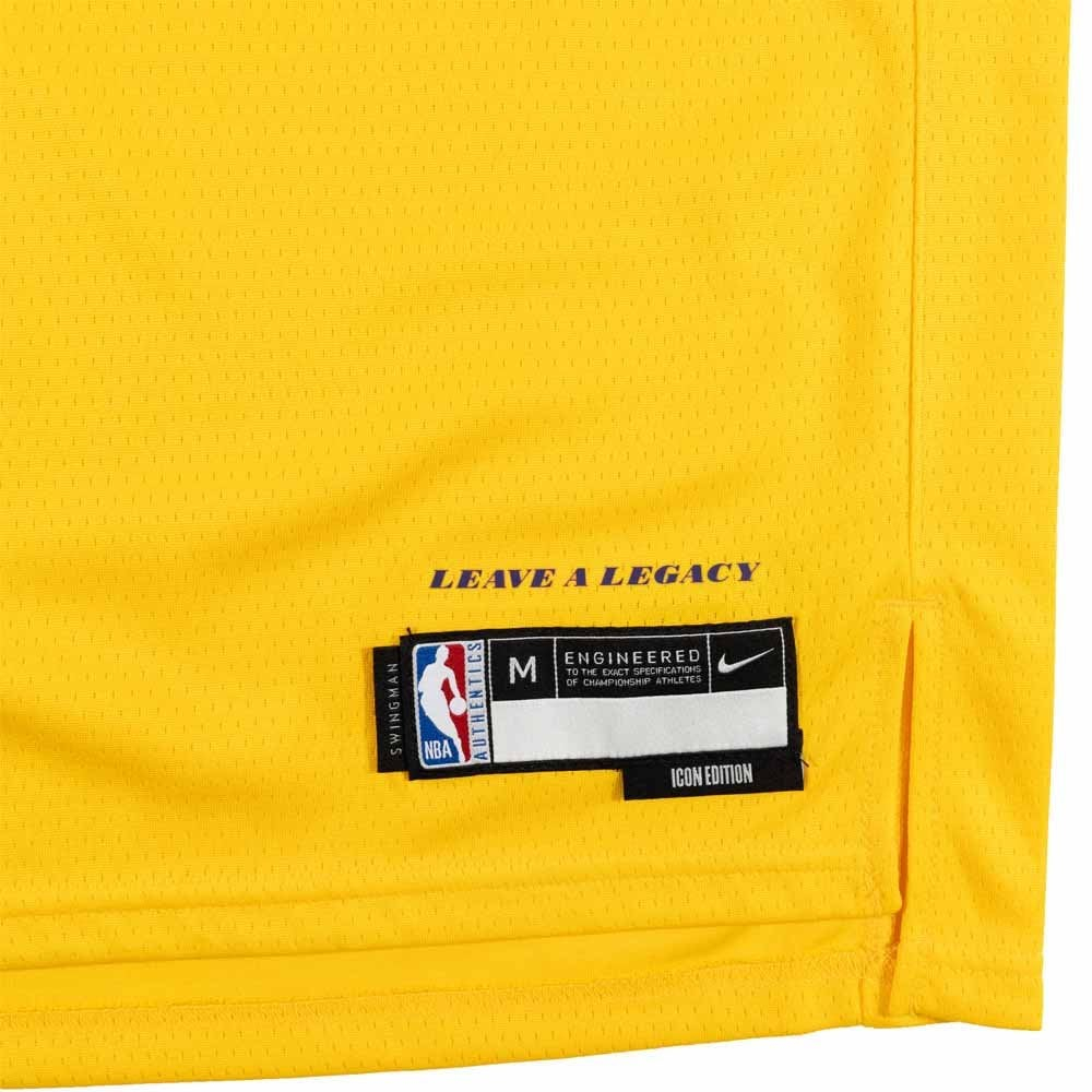 Баскетбольная детская джерси Nike Boys Icon Swingman Jersey Los Angeles Lakers Lebron James