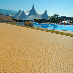 Тротуарная плитка ПРЯМОУГОЛЬНИК 200x100 мм - Стандарт Желтый