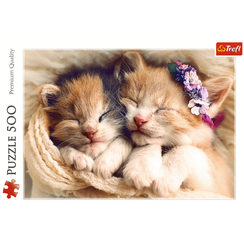 Puzzle "500" - Sleeping kittens / 500 px