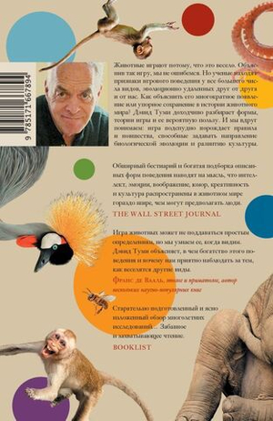 Царство игры