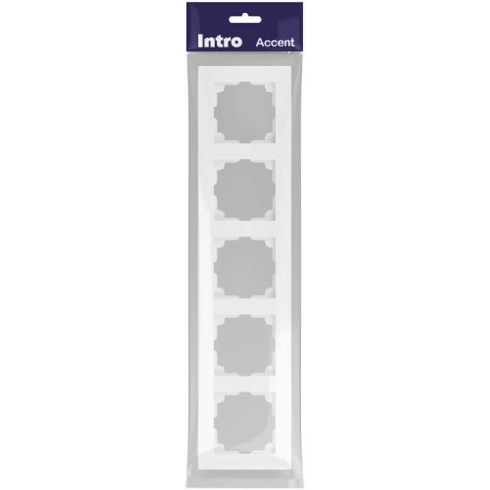 Рамка для розеток и выключателей Intro Accent 6-505-01М на 5 постов, СУ, белый матовый | Intro