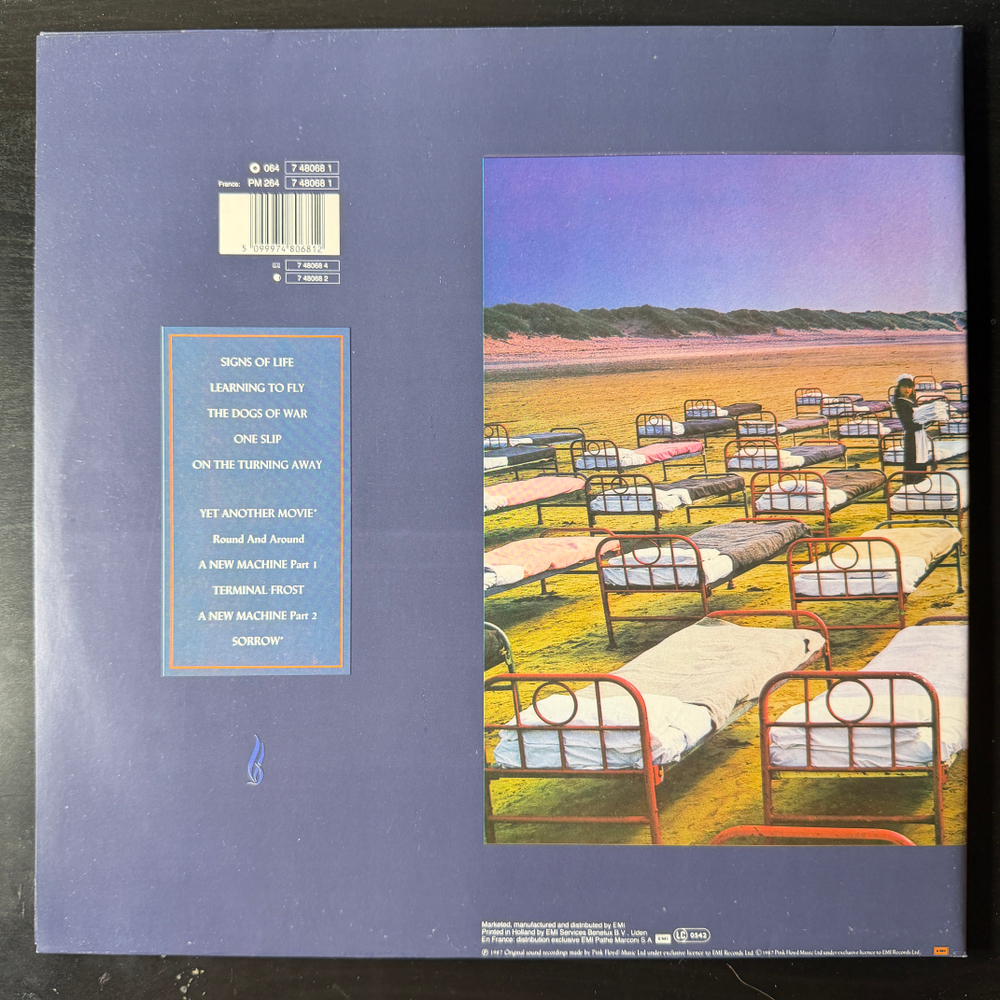 Виниловая пластинка Pink Floyd - A Momentary Lapse Of Reason LP