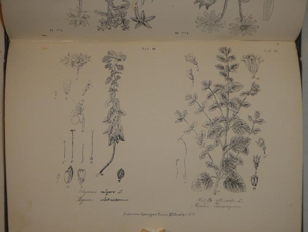 "Полный настоящий простонародный русский лечебник. 1350 домашних средств к излечению всевозможных болезней". Ф. Лоевский. 1884г.