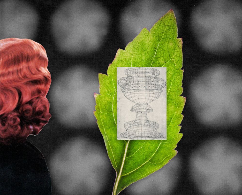 Hermetica Patchoulilight