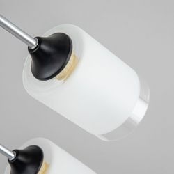 Citilux Эрик CL136165 Люстра потолочная Чёрная