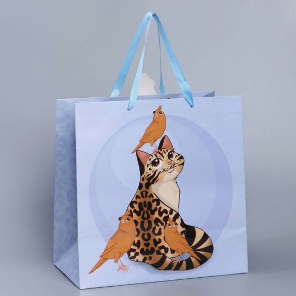 Пакет подарочный "Кот", 30×30×15 см