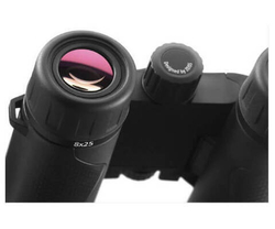 Бинокль Carl Zeiss Terra ED 10x25 чёрный