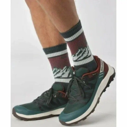 Кроссовки Salomon OUTRISE GTX