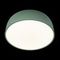 Потолочный светодиодный светильник Loft IT Axel 10201/480 Green