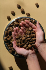 Сухой корм для собак "Shaman" Ягненок 25 кг; крупные гранулы; Класс Холистик