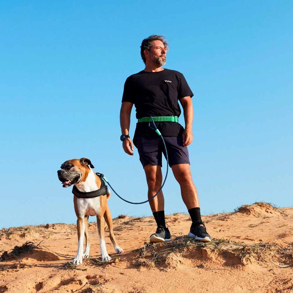 Пояс для бега с собакой Zee.Run