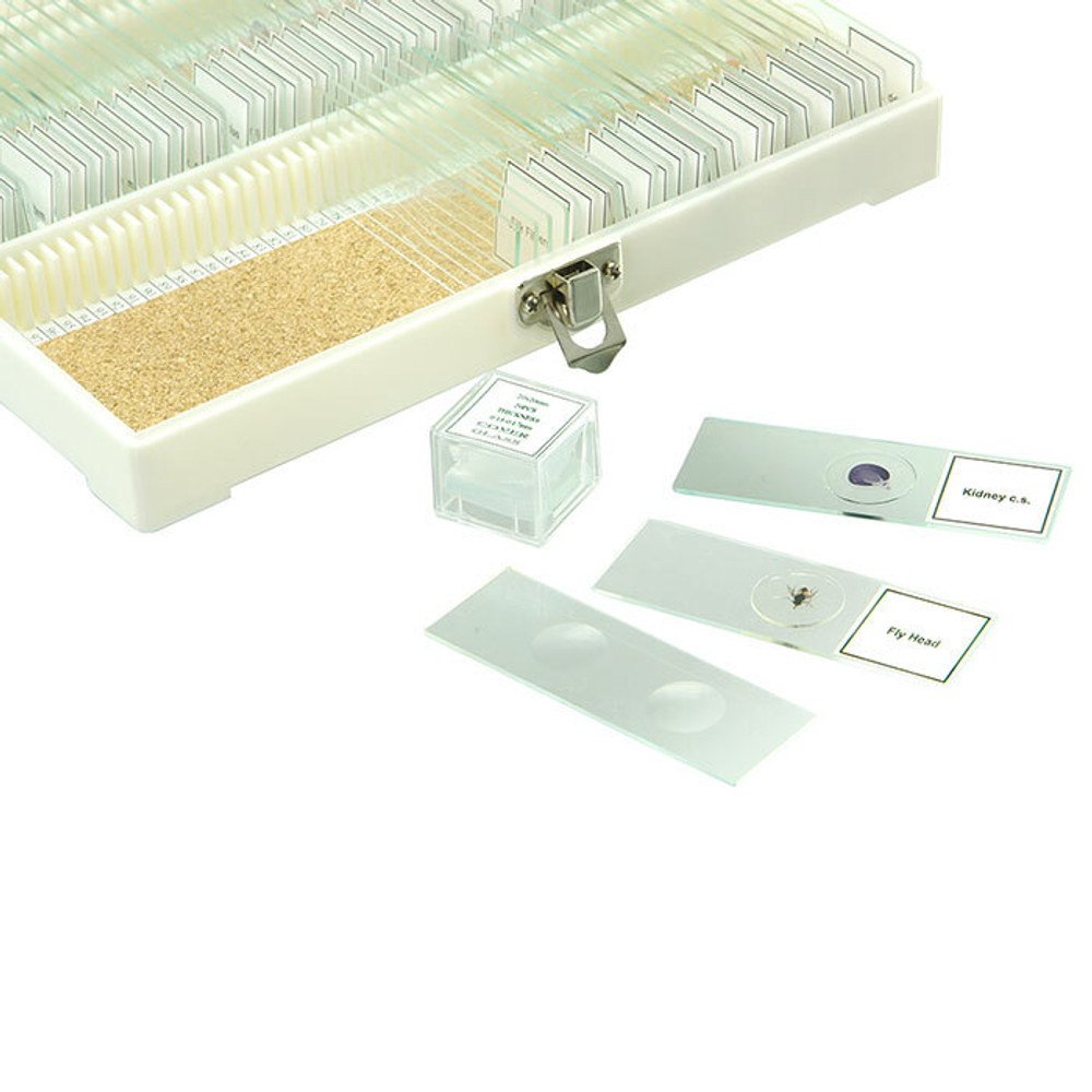 Набор микропрепаратов Микромед №80