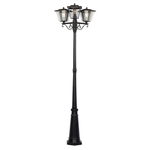 Citilux FORTS CLU10P3 Уличный парковый светильник