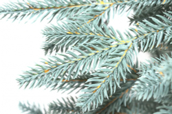 Ель искусственная Царь елка Адель голубая 90 см