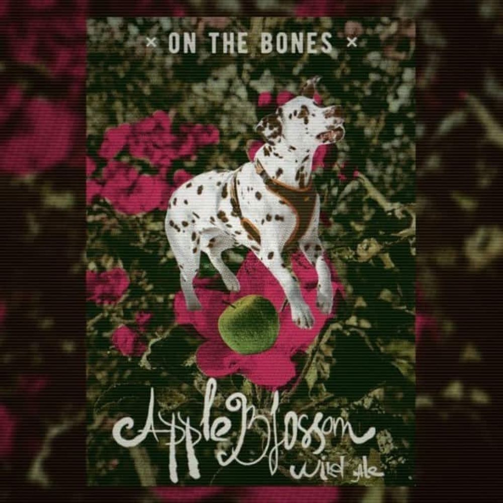 Пиво Он Зе Боунс Эппл Блоссом Вайлд Эль / On the Bones Apple Blossom Wild Ale 0.33 - стекло