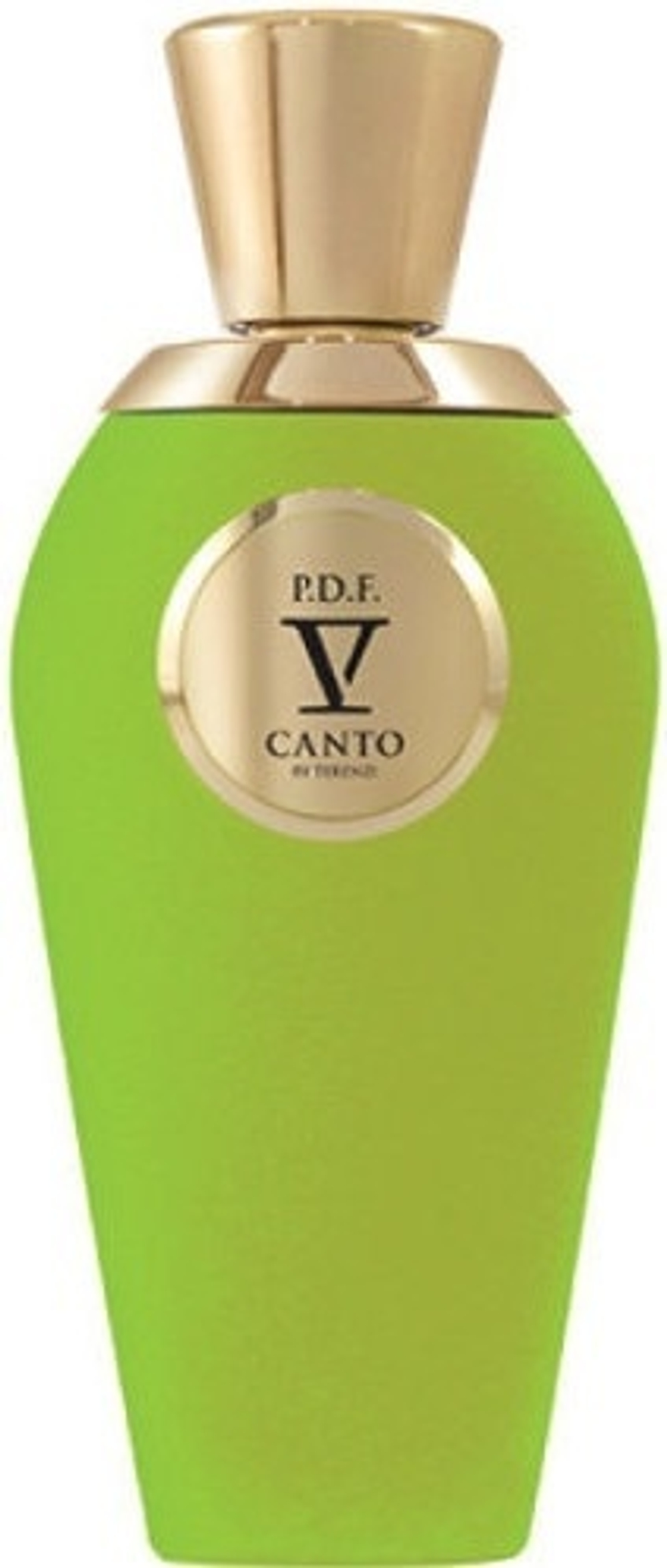 V Canto P.D.F.