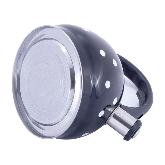 Чайник 2 л. из нержавеющей стали со свистком Kamille KM-1070 и нейлоновой ручкой